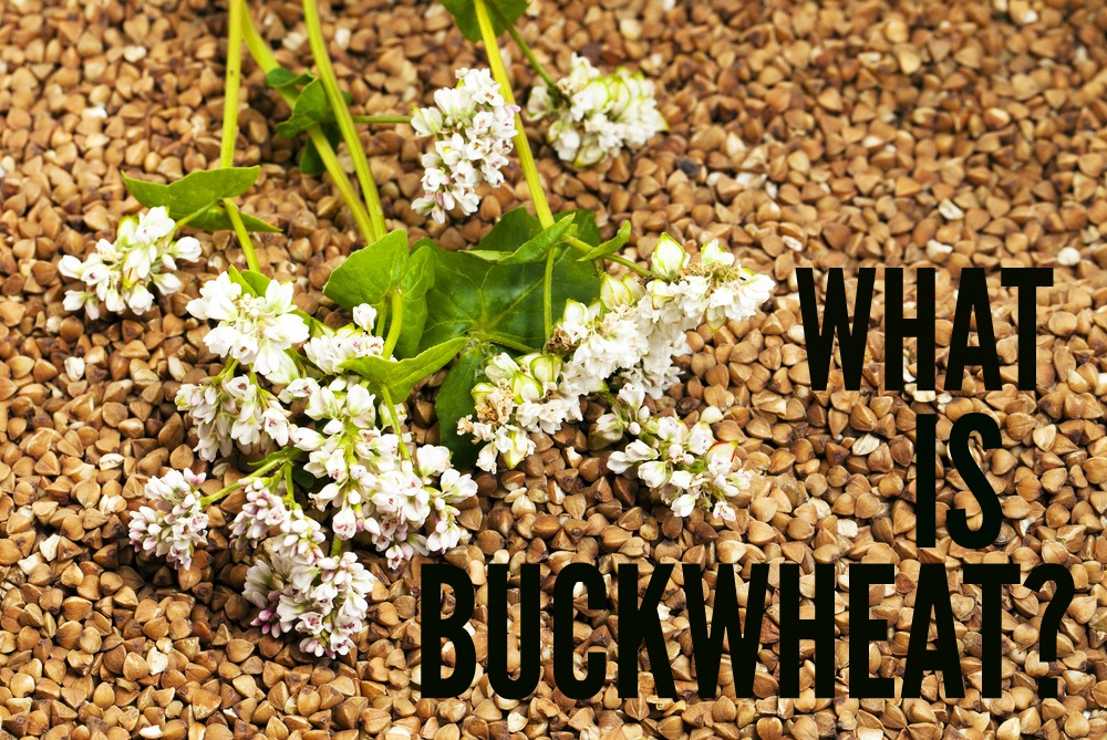 important-buckwheat-health-benefits