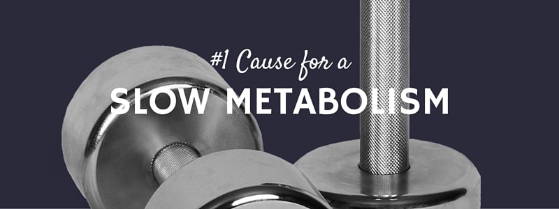 Slow Metabolism - The Number One Cause