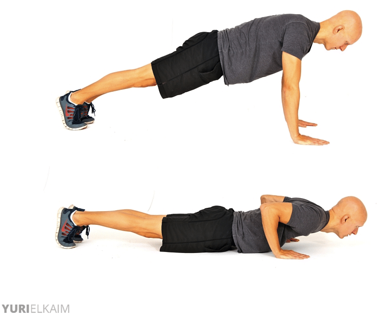 push up exercise program