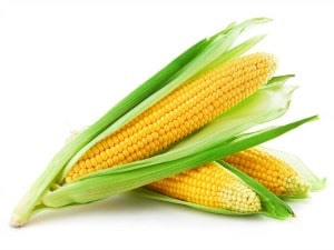 Cobs of corn