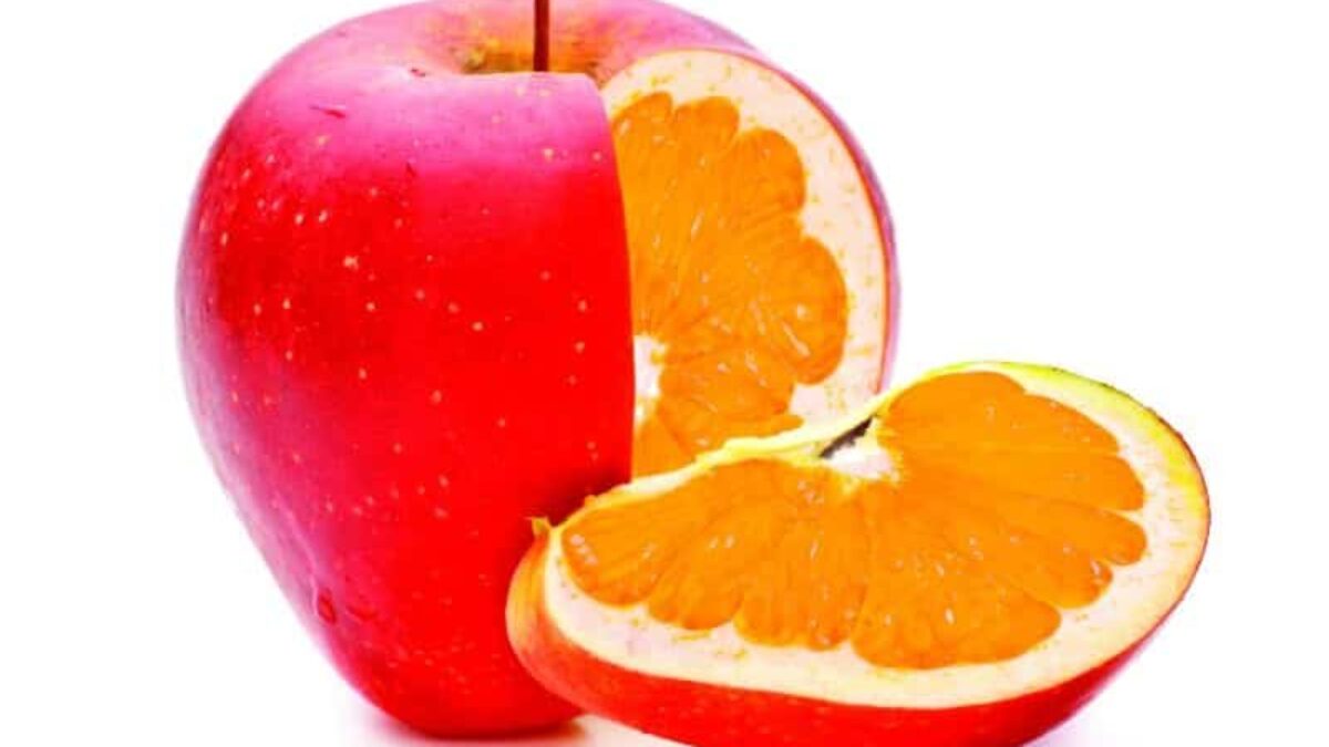 Genetically Modified Foods: Are They Really That Harmful? | Yuri Elkaim, image size:1200x675