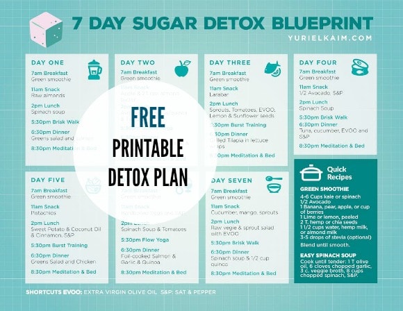 Sugar Detox Plan: A 7-Day Blueprint for Quitting Sugar | Yuri Elkaim