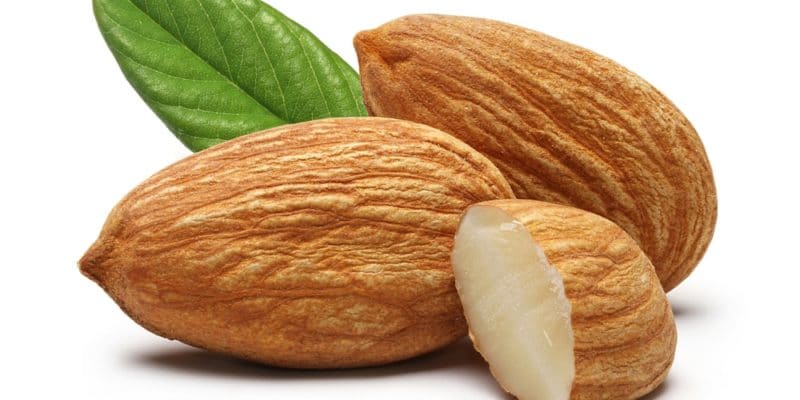 The 12 Best Vegan Protein Sources - Almonds