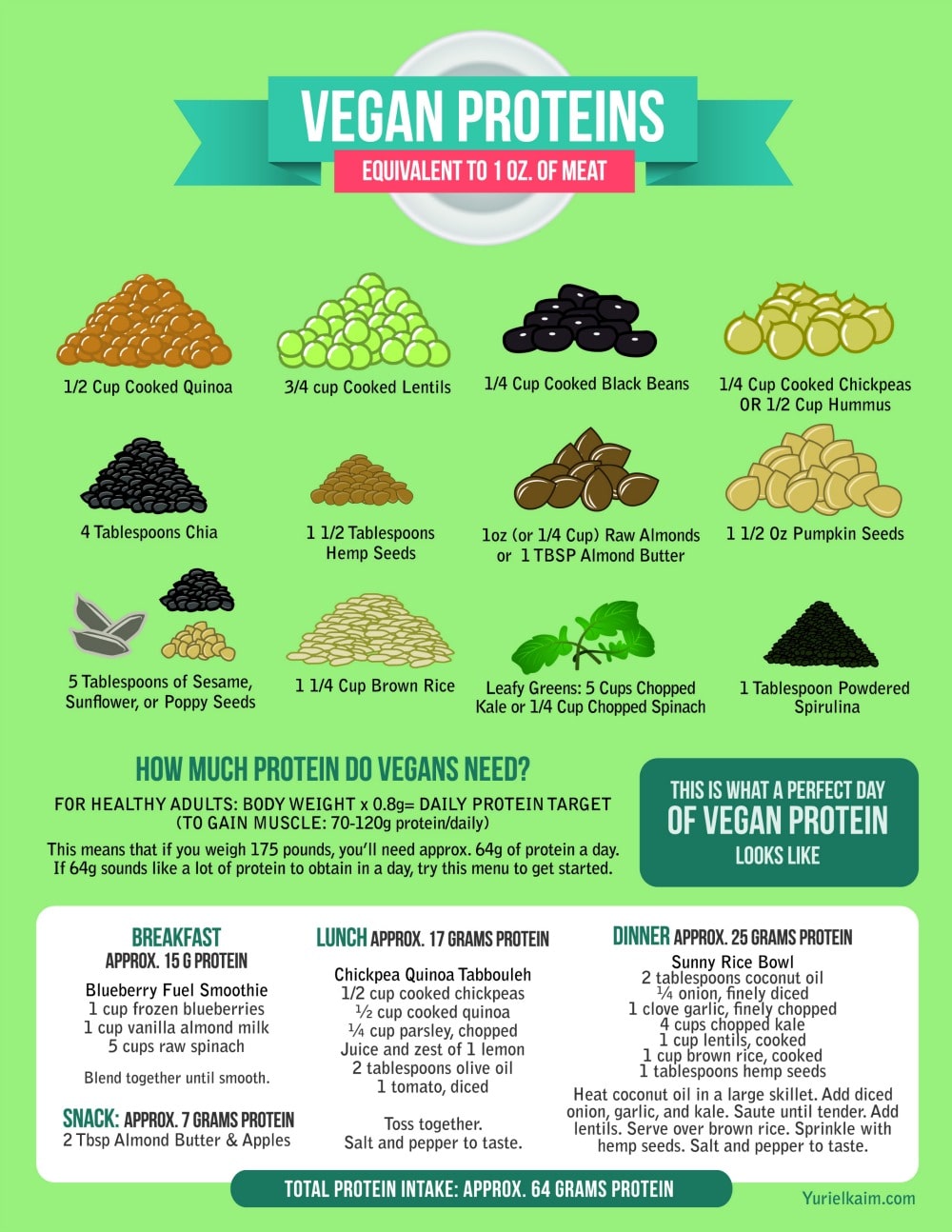 The Definitive Guide to the 12 Best Vegan Protein Sources | Yuri Elkaim