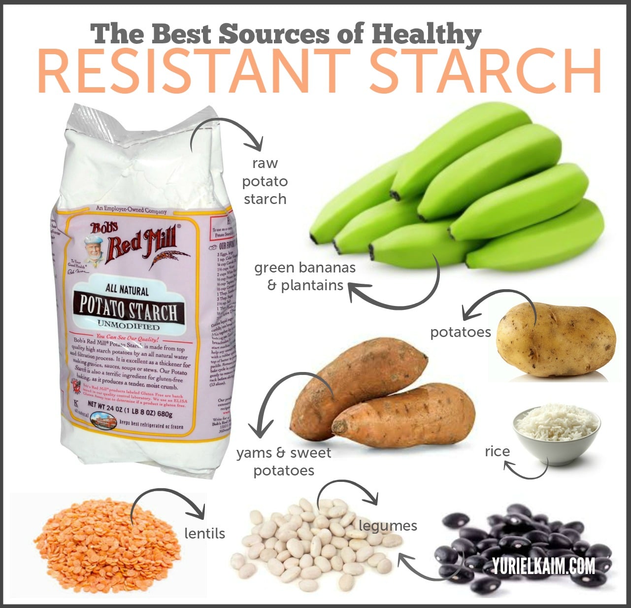 Resistant Starch Food Chart