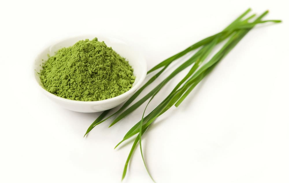 11 Life-Changing Reasons to Add Barley Grass to Your Diet ...