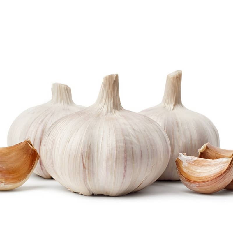 can garlic make you sick