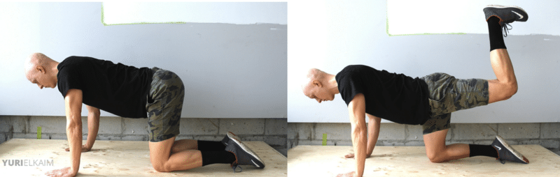 Best Glute Exercises - Quadruped Hip Extension