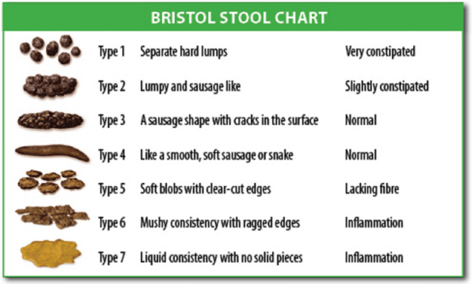 Top Narrow Stools Causes of all time Learn more here 