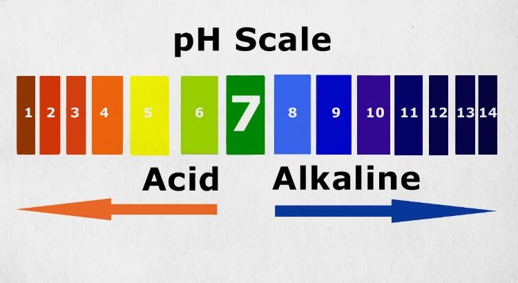 High Ph Foods Chart