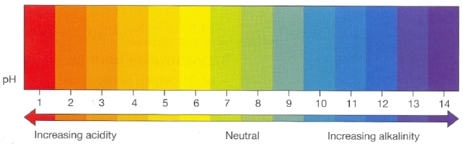 Acid Alkaline Chart