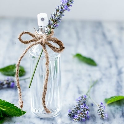 DIY Bug Bite Remedy DIY Bug Bite Remedy