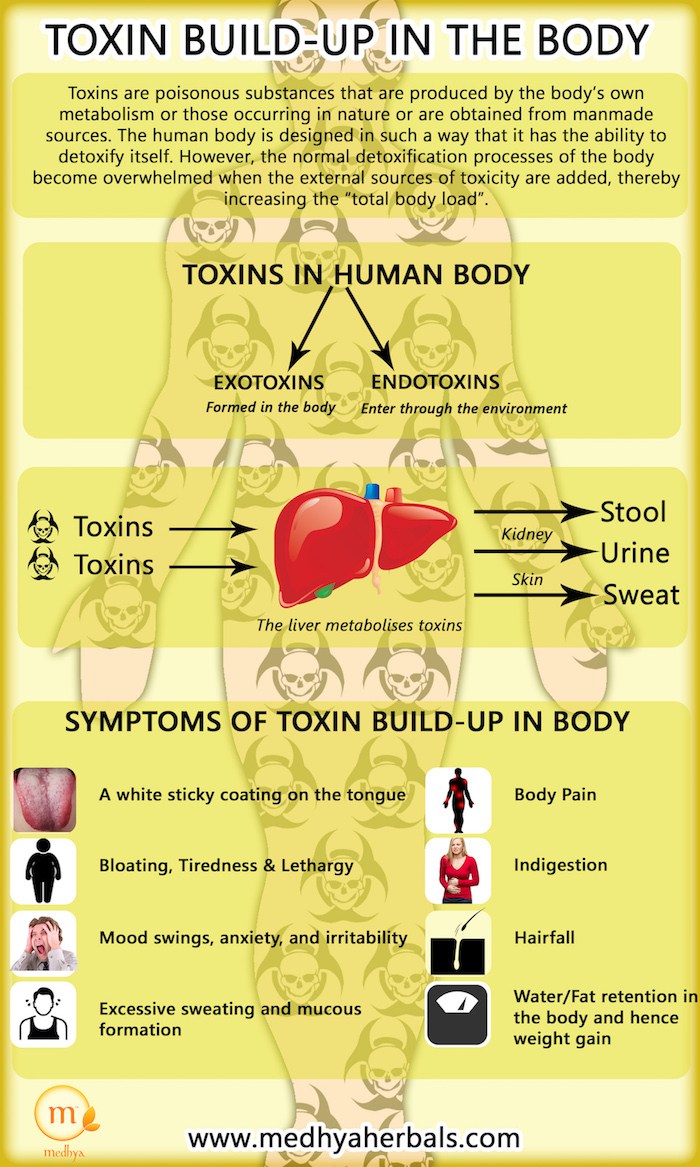 Toxin Build-Up in the Body